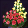 Posy Touch - Click here to View more details about this Product